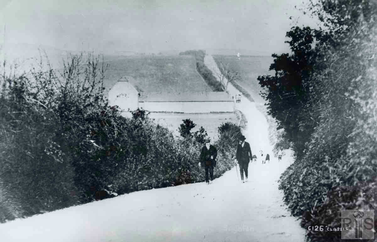 TRANSITION FROM THE DROVE TO LADIES MILE ROAD